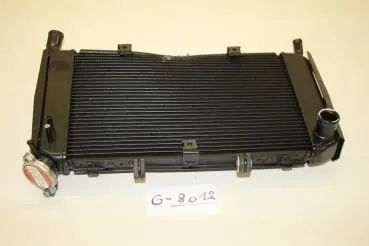 Angebot Yamaha FZ6 NAHG ABS RJ14D, Kühler, Wasserkühler