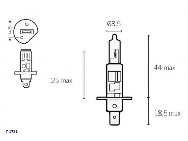 Kostenfreie Lieferung Lampe 12V H1 P14,5S Halogen 55 Watt