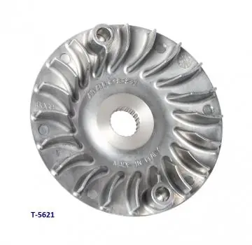 Variomatiklüfterrad für Vespa Primavera/Sprint 125, Piaggio Liberty 125 Top-Preis